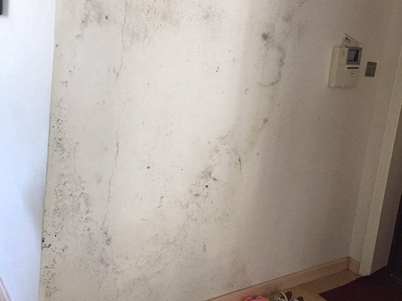 發霉的墻面可以直接涂乳膠漆嗎？墻面發霉翻新后如何保養？(圖4)