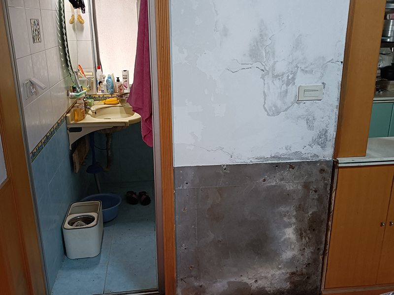 神宮天巧教您如何解決墻面發霉現象？(圖4)